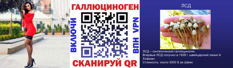 MEGA ссылки  Белоусово  Галлюциногенные грибы Psilocybe 
